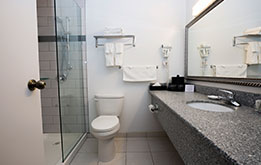 Single Queen Room
